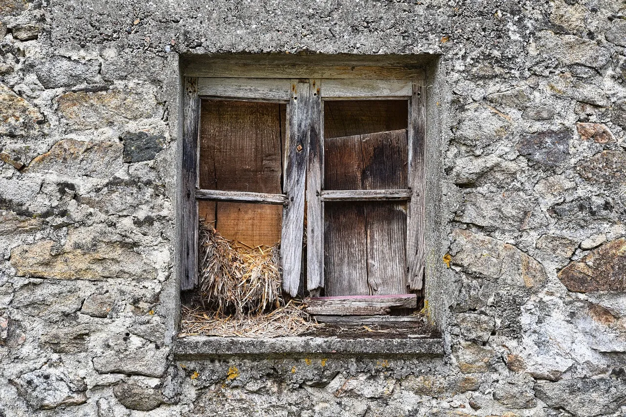 Emergency Home Repairs Vancouver: What to Do